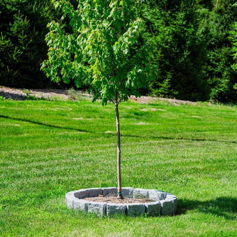 4 Ft Tree Ring Kit